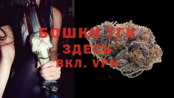 альфа пвп Новодвинск
