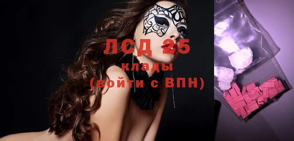 альфа пвп Новодвинск