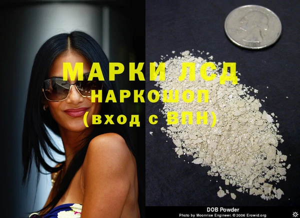 альфа пвп Новодвинск