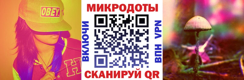 Псилоцибиновые грибы Magic Shrooms  Купить закладки  Лахденпохья 