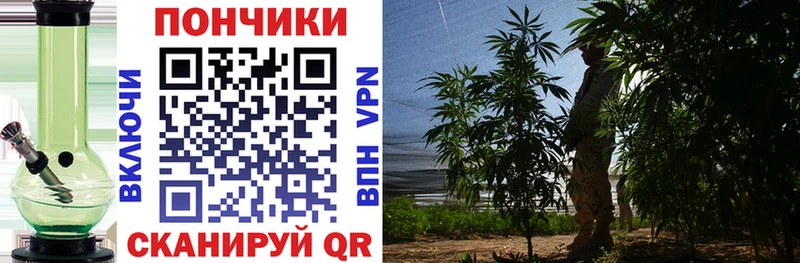Купить где Лахденпохья Марихуана ГИДРОПОН